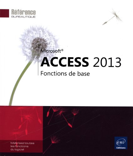Access 2013 : fonctions de base