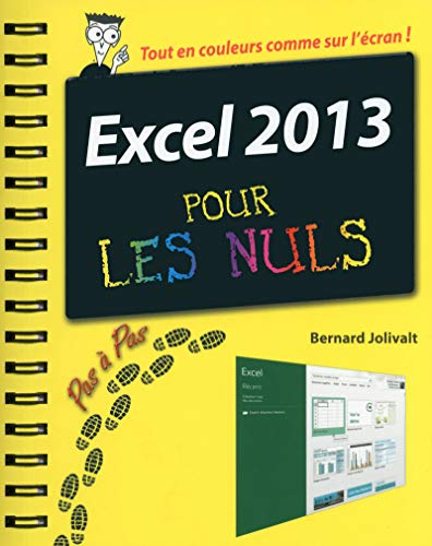 Excel 2013 pour les nuls : pas à pas