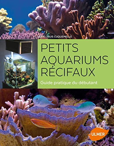 Petits aquariums récifaux : guide pratique du débutant