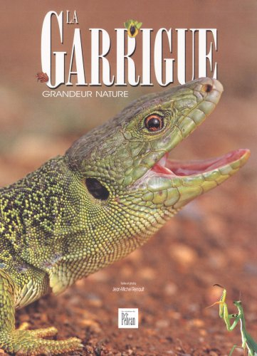 La garrigue : grandeur nature