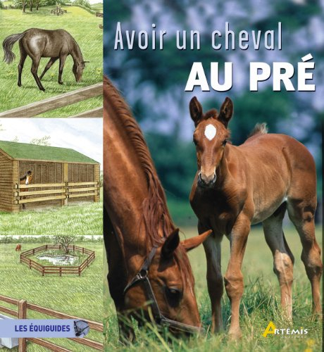 Avoir un cheval au pré