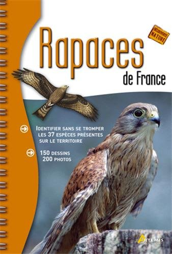 Rapaces de France : identifier sans se tromper les 37 espèces présentes sur le territoire
