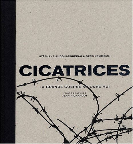 Cicatrices : la Grande guerre aujourd'hui - Stéphane Audoin-Rouzeau, Gerd Krumeich, Jean Richardot
