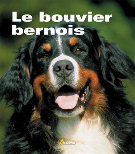 Le bouvier bernois