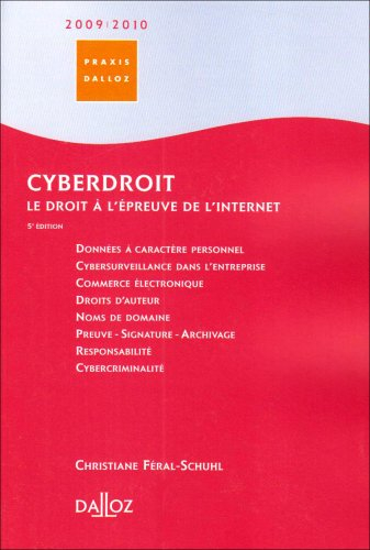 Cyberdroit 2009-2010 : le droit à l'épreuve de l'Internet