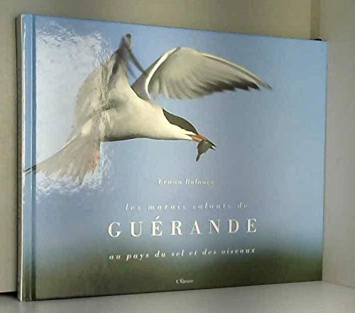 Les marais salants de Guérande, au pays du sel et des oiseaux