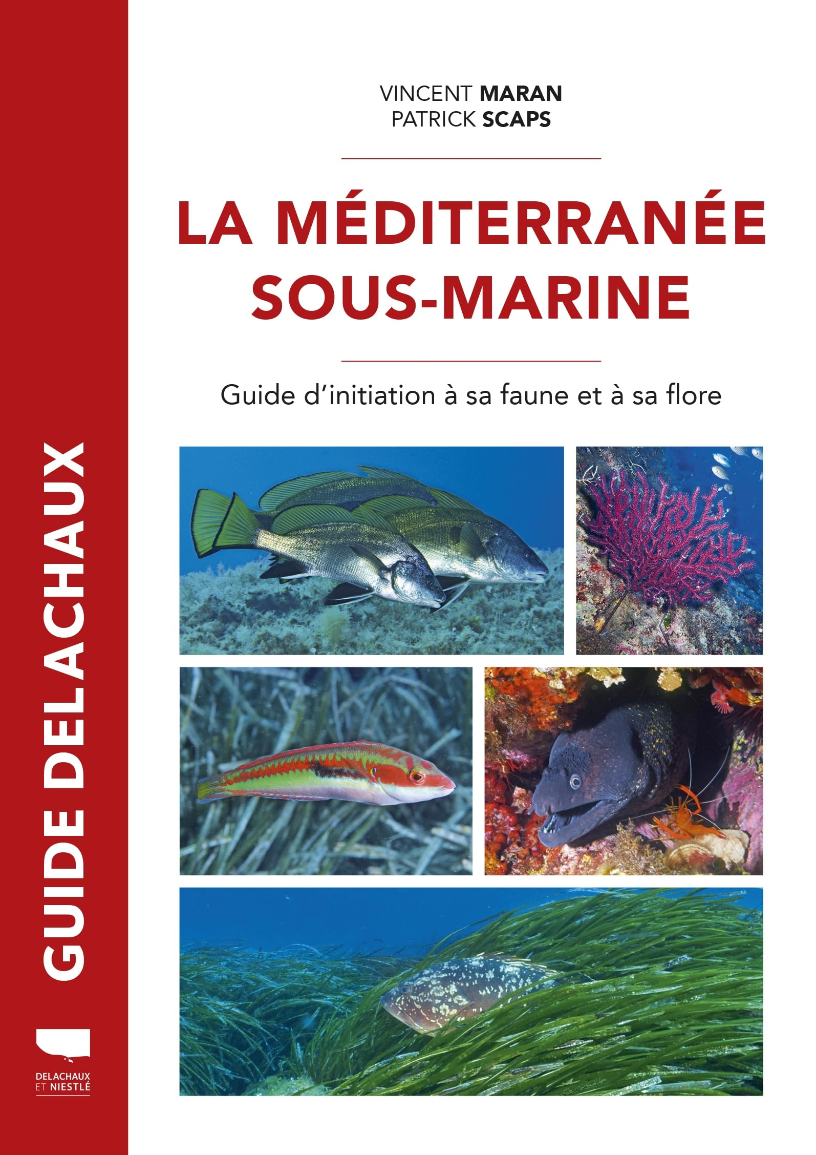 Méditerranée sous-marine: Guide de la faune et de la flore