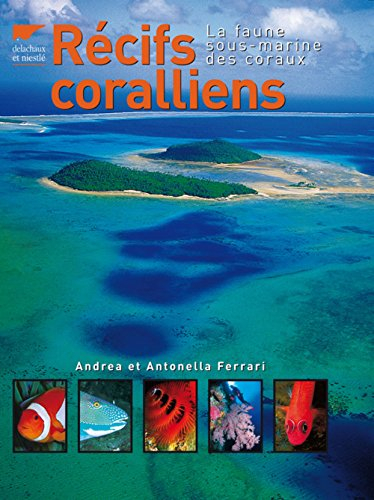 Récifs coralliens : la faune sous-marine des coraux