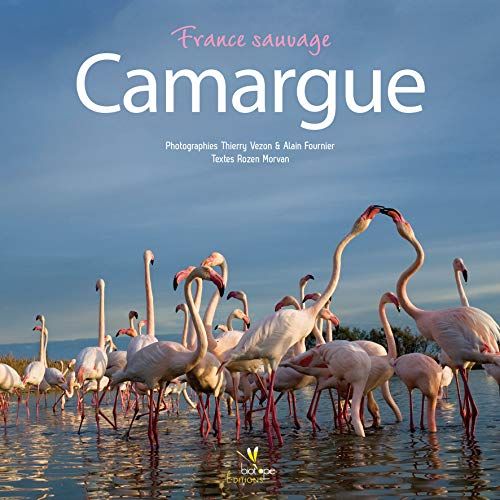 Camargue sauvage