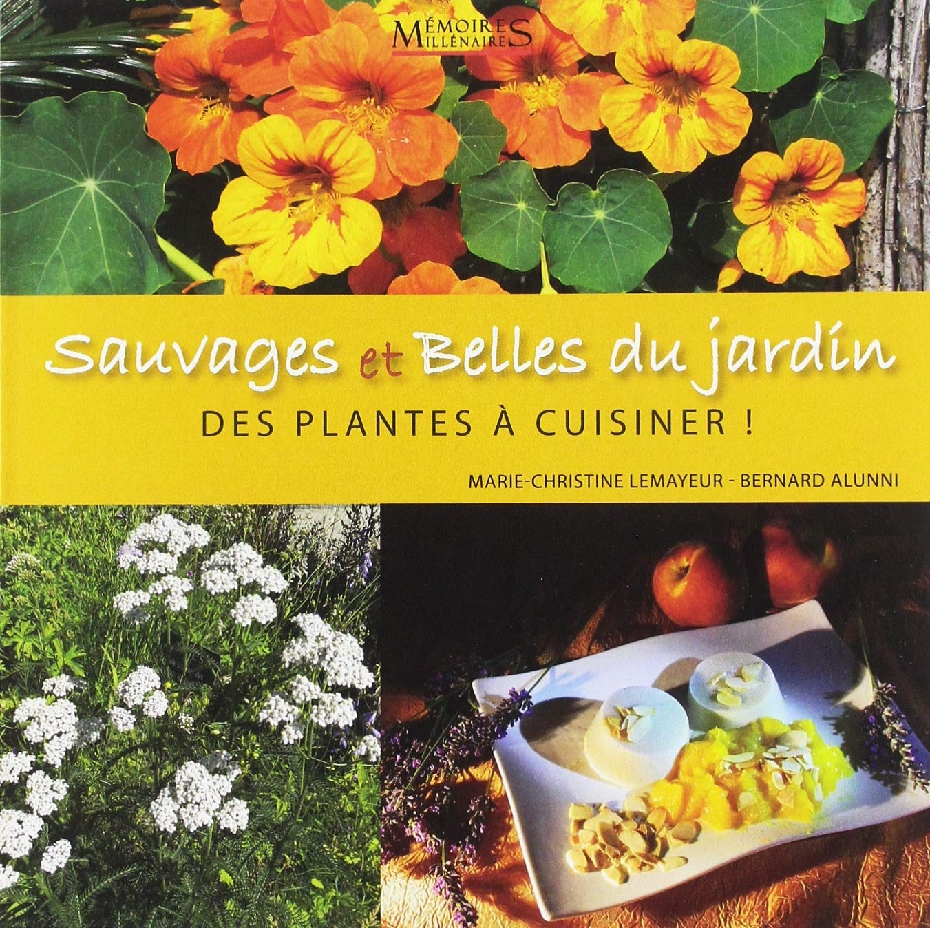 Sauvages et belles du jardin : des plantes à cuisiner !