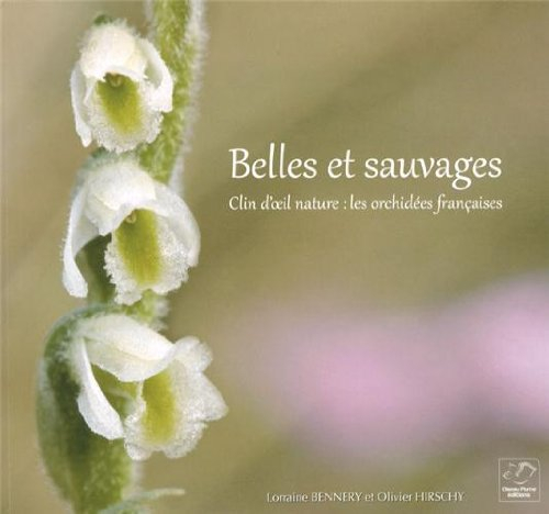Belles et sauvages : clin d'oeil nature : les orchidées françaises