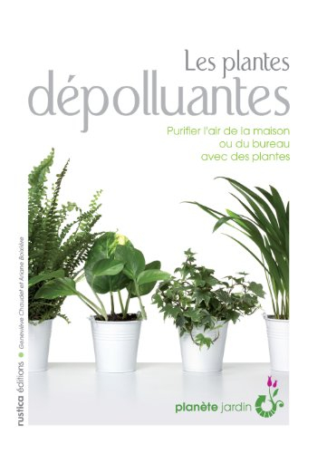 Les plantes dépolluantes : purifier l'air de la maison ou du bureau avec des plantes