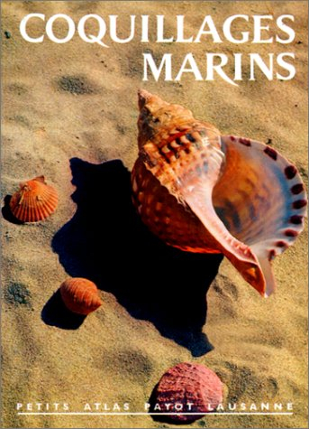 coquillages marins, numéro 33
