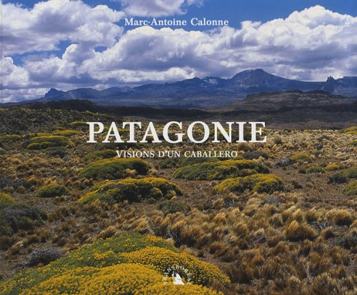 Patagonie : visions d'un caballero