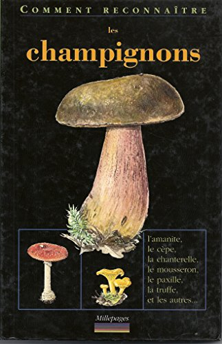 Les champignons