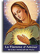 La flamme d'amour du coeur immaculé de Marie : extraits du journal de la voyante, 1961-1981