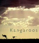 mitsuaki iwago's kangaroos