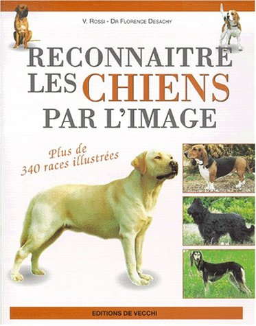 Reconnaître les chiens par l'image