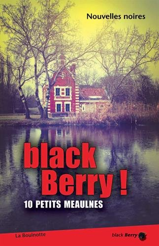Black Berry ! : 10 petits Meaulnes : nouvelles noires