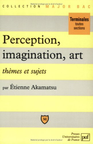 Perception, art, imagination