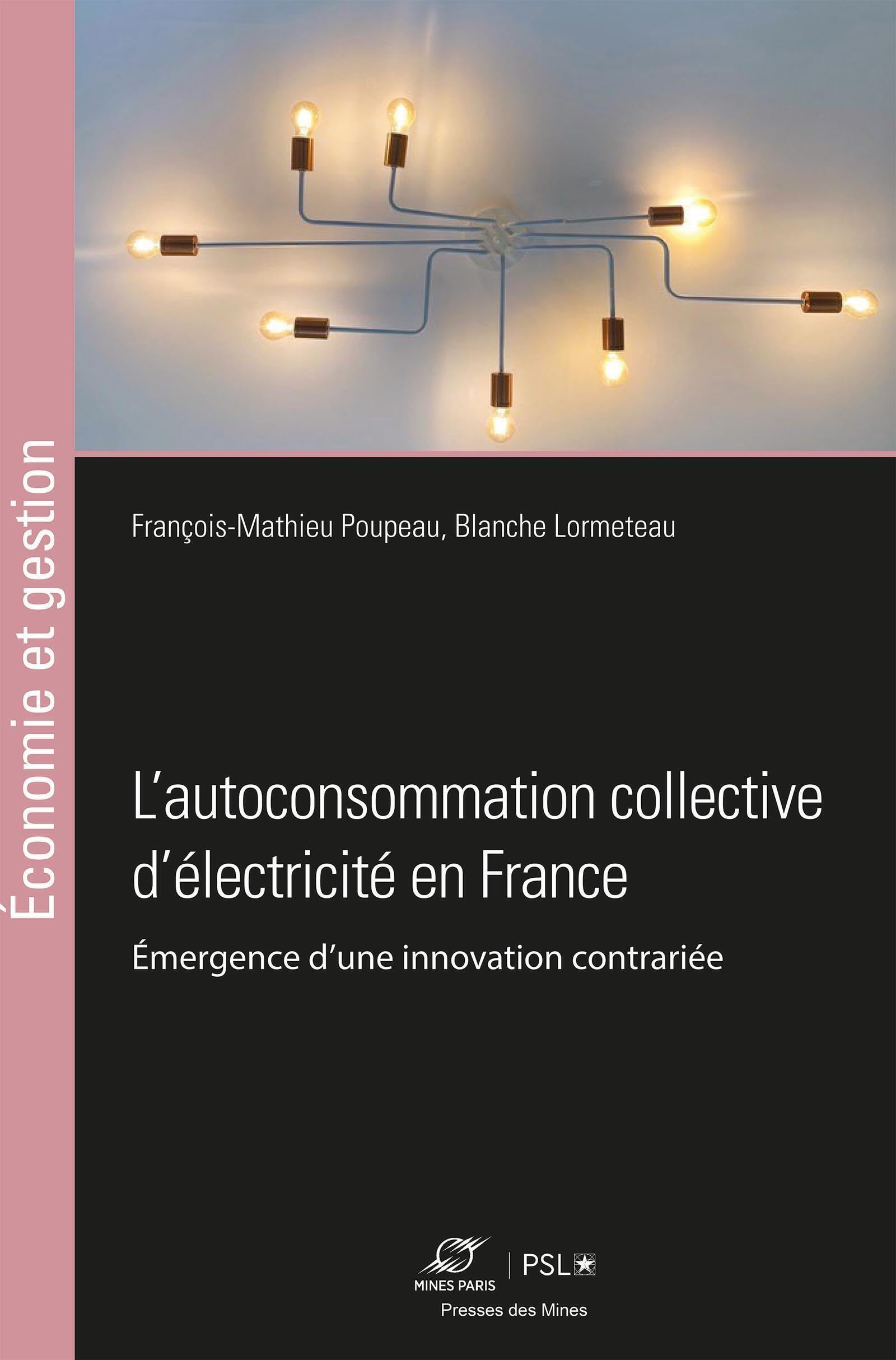 L'autoconsommation collective d'électricité en France : émergence d'une innovation contrariée