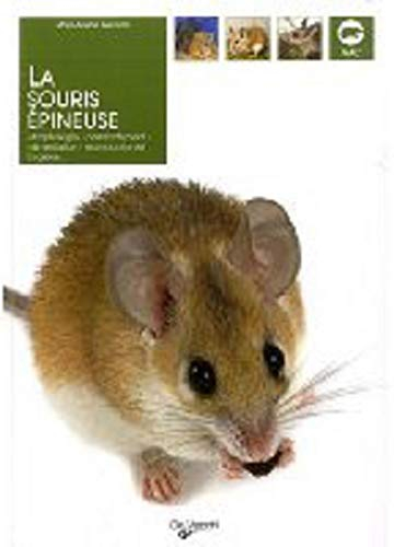 La souris épineuse : morphologie, comportement, alimentation, reproduction et hygiène...