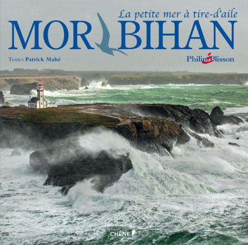 Morbihan : la petite mer à tire-d'aile