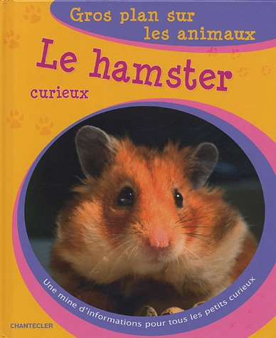 Le hamster curieux