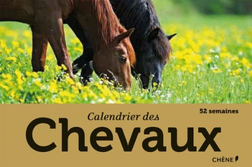 Calendrier des chevaux : 52 semaines