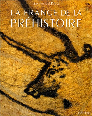 La France de la préhistoire : mille millénaires, des premiers hommes à la conquête romaine
