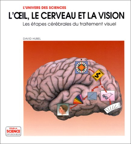 L'Oeil, le cerveau et la vision : les étapes cérébrales du traitement visuel