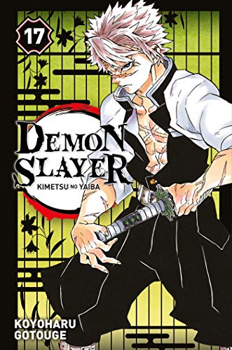 Demon slayer : Kimetsu no yaiba. Vol. 17