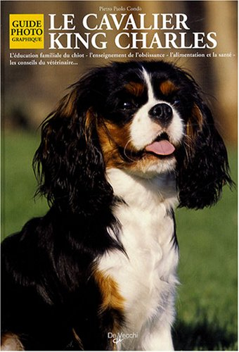 Le cavalier king Charles