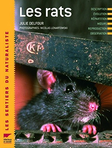 Les rats : description, évolution, répartition, moeurs, reproduction, observation