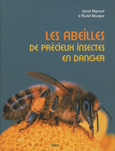 Les abeilles : de précieux insectes en danger