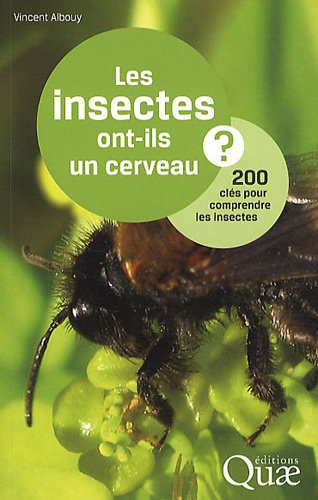 Les insectes ont-ils un cerveau ? : 200 clés pour comprendre les insectes