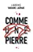 COMME UNE PIERRE