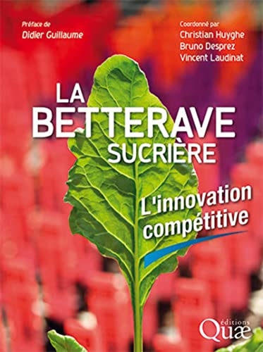 La betterave sucrière : l'innovation compétitive
