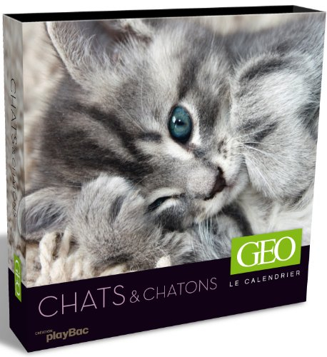 Chats & chatons : le calendrier