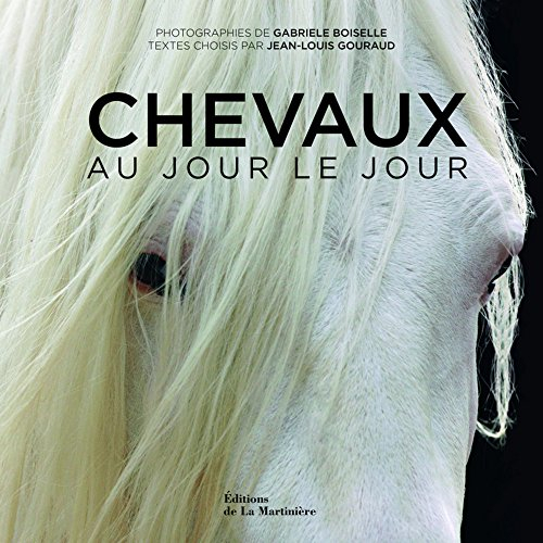 Chevaux : au jour le jour