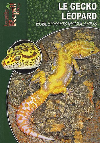 Le gecko léopard : Eublepharis macularius