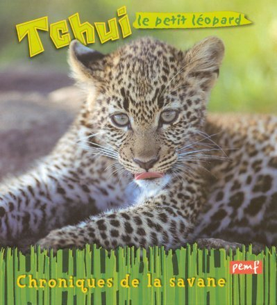 Tchui, le jeune léopard