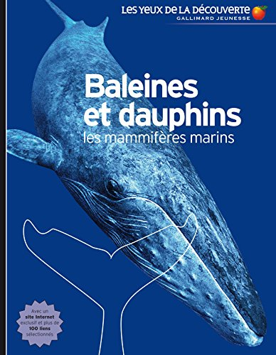 Baleines et dauphins : les mammifères marins