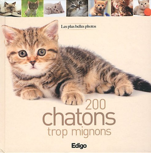 200 chatons trop mignons