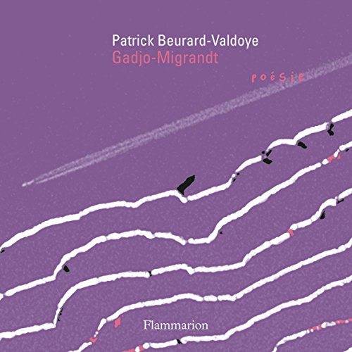Cycle des exils. Vol. 6. Gadjo-Migrandt