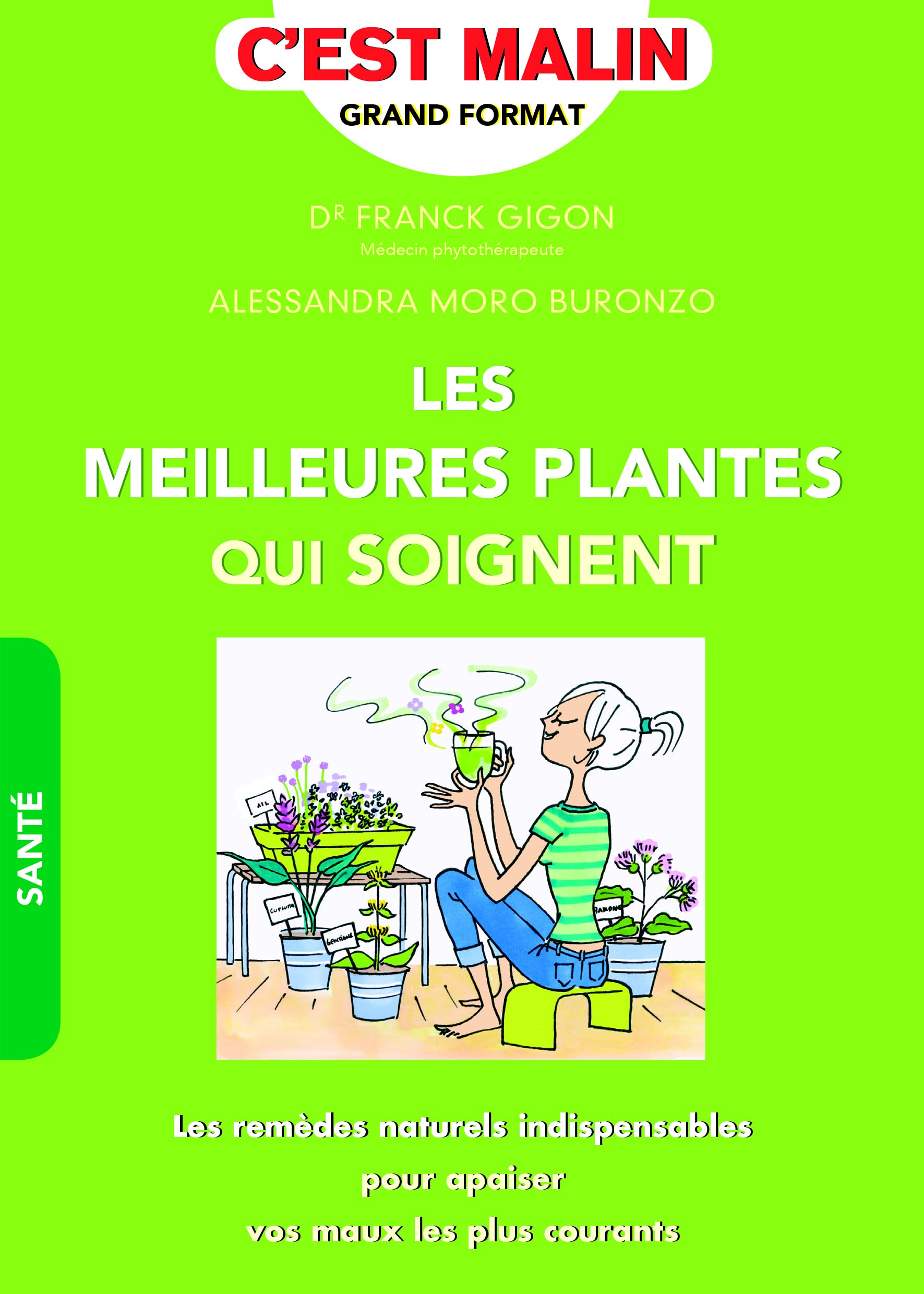 Les meilleures plantes qui soignent : les remèdes naturels indispensables pour apaiser vos maux les 