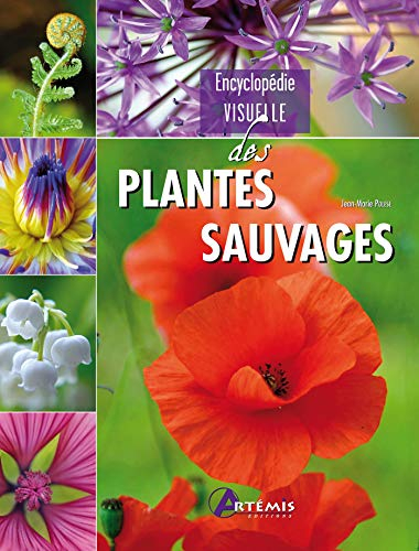 Encyclopédie visuelle des plantes sauvages