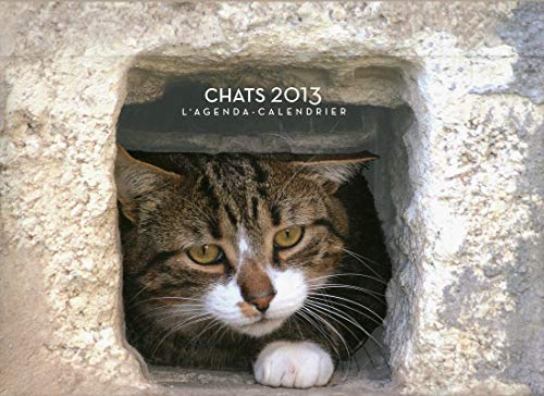 Chats 2013 : l'agenda-calendrier