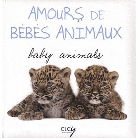Amours de bébés animaux. Baby animals