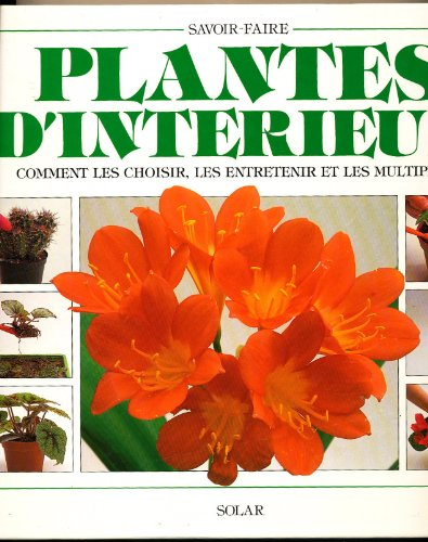 Plantes d'intérieur : comment les choisir, les entretenir